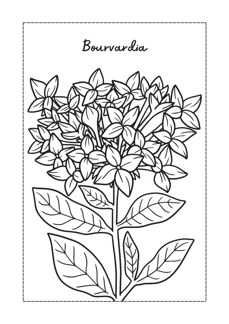 Flower Coloring Book.pdf (6)